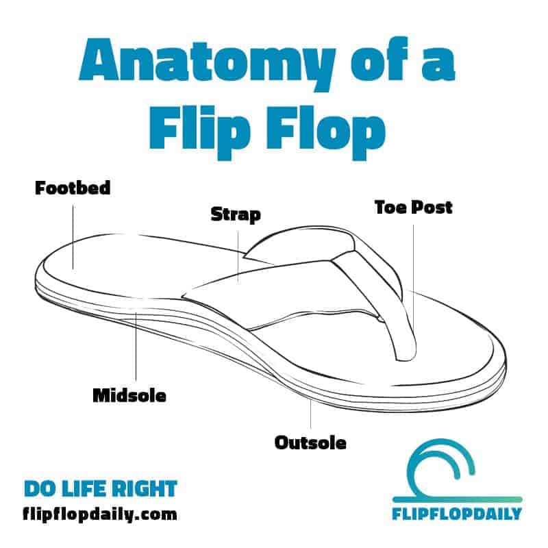 Anatomy Of A Flip Flop | Do Life Right 