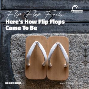 Flip Flop Facts