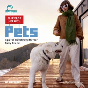 Square Oct25 Blog Flip Flop Life with Pets Tips for Traveling with Your Furry Friend